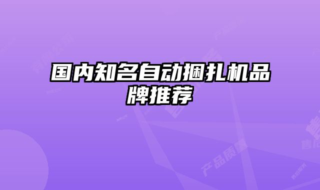 國內知名自動捆扎機品牌推薦